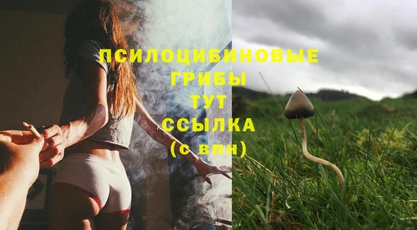 PSILOCYBIN Алексеевка