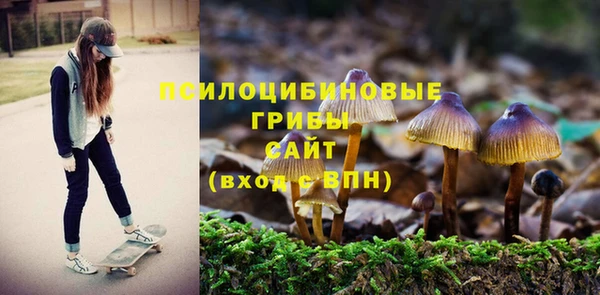 МДПВ Алексин