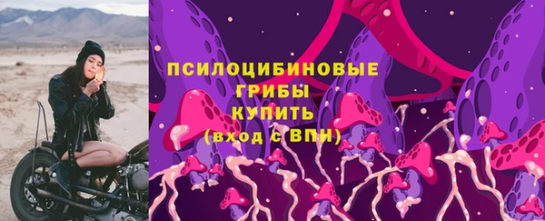 PSILOCYBIN Алексеевка
