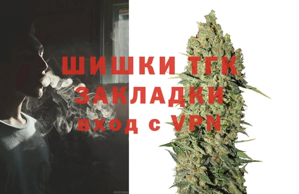 соль ск Алзамай