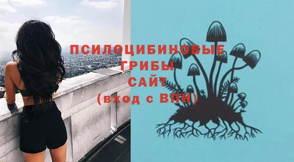 PSILOCYBIN Алексеевка